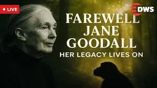 LIVE: Farewell to Jane Goodall | Global Tribute to Conservation Legend | AC15