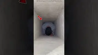 Cay&oacute; en el agujero de una casa abandonada 😮