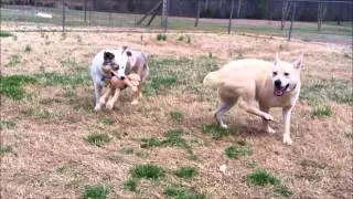 Sally and Nora Foster Furiends are the Best