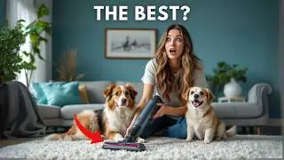 Best Cordless Vacuums for Pet Hair 2025 - (Which One is Right for You?)