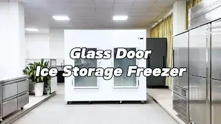Large Capacity Double Glass Door Ice Storage Freezer | Stable Cooling Performance