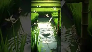 Healing Water Sounds from Bamboo | Natural Relaxation in the Rice Fields