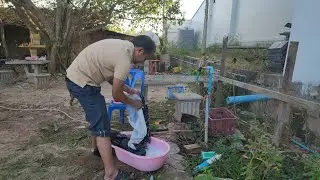 31.​12.​ 2025.​Tswv​ kub​ 