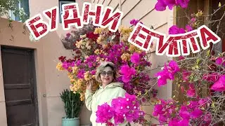 Egypt 🇪🇬.Будни Египта. Один день моей жизни  в Хургаде!🐫🌴🍓👍