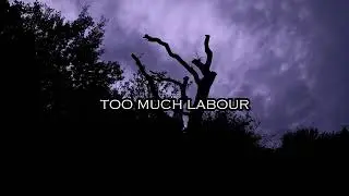 labour - paris paloma - chorus loop