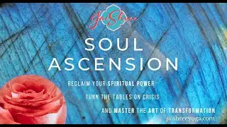 Encouragement! Transformation is a Marathon, not a Sprint: Soul Ascension Vlog
