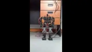 AGU 17 DOF Humanoid Robot  (AGUMS-1) playing karate kid