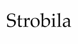 How to Pronounce Strobila