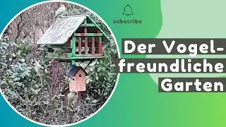 Wie wird dein Garten wird zum Vogel-Paradies? 🌻 3 Schritte für Wildvögel & Wellis