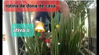 #rotinadedonadecasa #dia a dia #vlog #