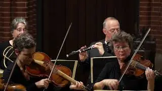 la festa musicale/ Peter Whelan: Mozart: Sinfonie g-moll Nr. 40 (KV 550), IV. Satz 