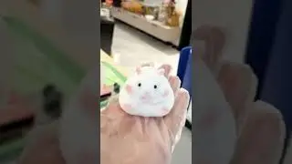 Squishy Taba Hamster 💕 From SQUISHYCHUU.COM