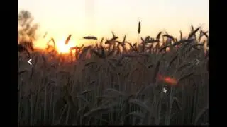 Photo gallery built with react-motion