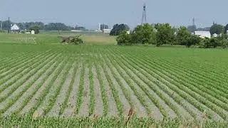 LAWAK NG KAPATAGAN NILA MGA IDOL SARAP TANIMAN NG PALAY KASU DI MABUBUHAY DAHIL SA ❄️ SNOW ❄️