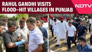Rahul Gandhi Visits Flood-Hit Areas In Punjab’s Amritsar