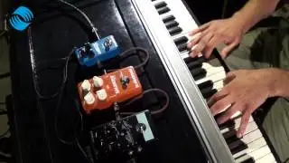 Fender Rhodes with TC Electronic Flashback mini, Shaker vibrato & Alter Ego V2