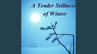 A Tender Stillness of Winter