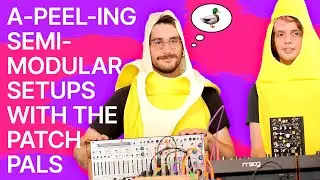 The Secret to Semi-Modular Setups with the Patch Pals