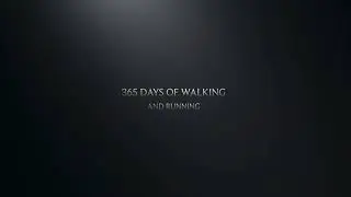 12 Million Steps and 2 Marathons