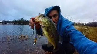 Winter Bass Fishing Suspending Hard Jerkbaits, Bass, Pickerel, Final 2015 Video 12/31