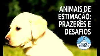 Autismo e Animais de Estimação