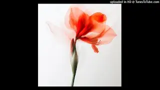 [free for profit] lovemusic + ambient type beat 