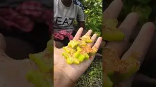Fresh Star Fruit Picked Straight From the Tree #trending #fruit #shorts