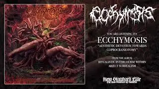 Ecchymosis - 