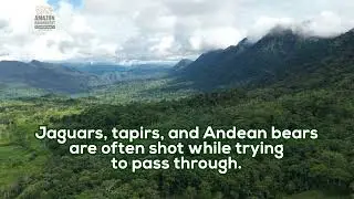 Why Does Our Wildlife Corridor Matter?