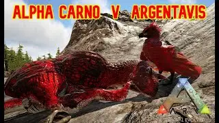 ALPHA CARNO V ARGENTAVIS