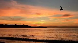 Golden Sunrise at Gylly Beach, Cornwall