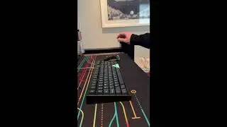 hbcp typing test
