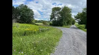Born Free Upstate   HD 1080p
