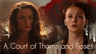 ► Luminary - A Court of Thorns and Roses (Acotar Concept)