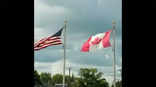 Canadians are boycotting the US, and some businesses are feeling the pressure