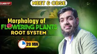 Morphology of Flowering plants || Root System || Tap Root || Fibrous Root || NEET || CBSE || NCERT