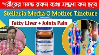 stellaria media homeopathic medicine | sorir bethar osud | arthritis pain relief medicine
