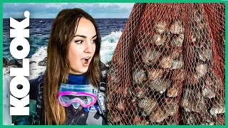 Je pars à la PÊCHE aux COQUILLES SAINT-JACQUES !