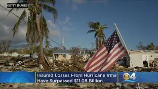 Hurricane Irma Insurance Claims Top One Million