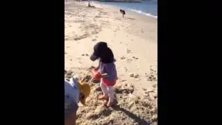 Dolls Point beach