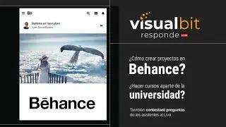 Visualbit Responde LIVE #1