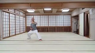 Taich practice 