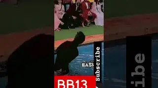 bigg Boss season 13 funny memes #bb13
