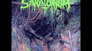 Sanatorium - Minulost