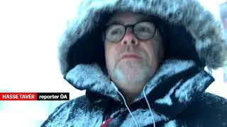Hasses syn i &Ouml;rnsk&ouml;ldsvik: 