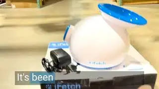 Honest review  iFetch Interactive Ball Launcher for Dogs