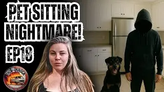 Van Life Reality Check: Housing Crisis, Homelessness & A Pet Sitting Gone Wrong