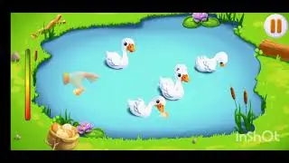 #duck #ducks #ducksofinstagram #nature #birds #bird #duckhunting #waterfowl