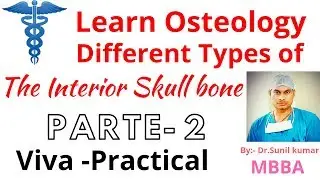 Describe of the  Skull bone , learn osteology ,Show me now the skull bone , inferior skull bone