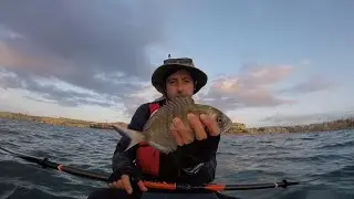 Harbour fishing | Caught a White bream (Sargu) with jigging after a long time